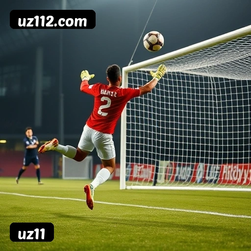 6 vantagens exclusivas do programa VIP da uz11